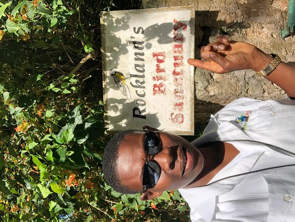 Explore Montego Bay Private Highlight Tour from Montego Bay - Local life, food, and the parts between the stops