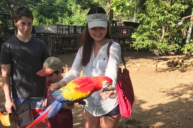 Explore Montego Bay to Exotic Birds and Herb Farm from MontegoBay - A short Montego Bay outing with a clear focus