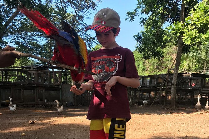 Explore Montego Bay to Exotic Birds and Herb Farm from MontegoBay - Getting picked up in Montego Bay