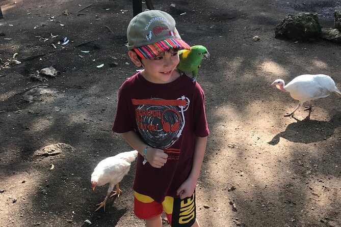 Explore Montego Bay to Exotic Birds and Herb Farm from MontegoBay - The drive to the exotic bird and herb farm