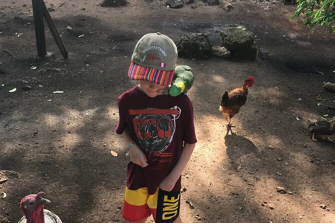 Explore Montego Bay to Exotic Birds and Herb Farm from MontegoBay - Meeting the exotic birds