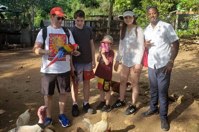 Explore Montego Bay to Exotic Birds and Herb Farm from MontegoBay - The ride back to Montego Bay