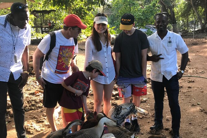 Explore Montego Bay to Exotic Birds and Herb Farm from MontegoBay - Who will enjoy this outing most
