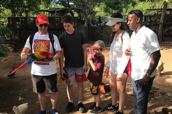 Explore Montego Bay to Exotic Birds and Herb Farm from MontegoBay - What the $80 price really covers