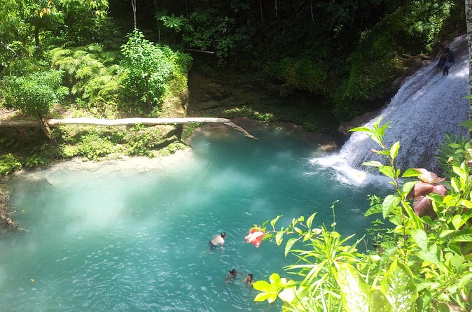 Falmouth Dunns River Falls and Blue Hole Excursion - Who Should Book This Day?