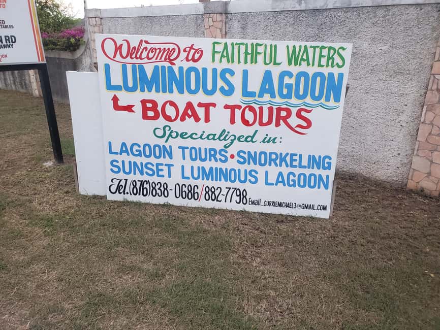 Falmouth: Luminous Lagoon Boat Tour - Swimming in the glowing water