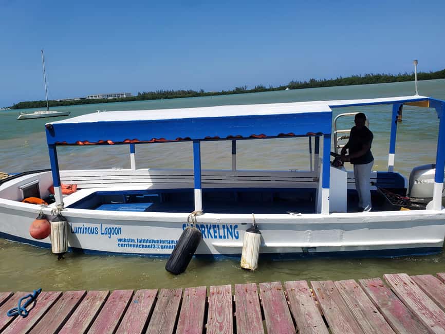 Falmouth: Luminous Lagoon Boat Tour - What the $25 price really includes