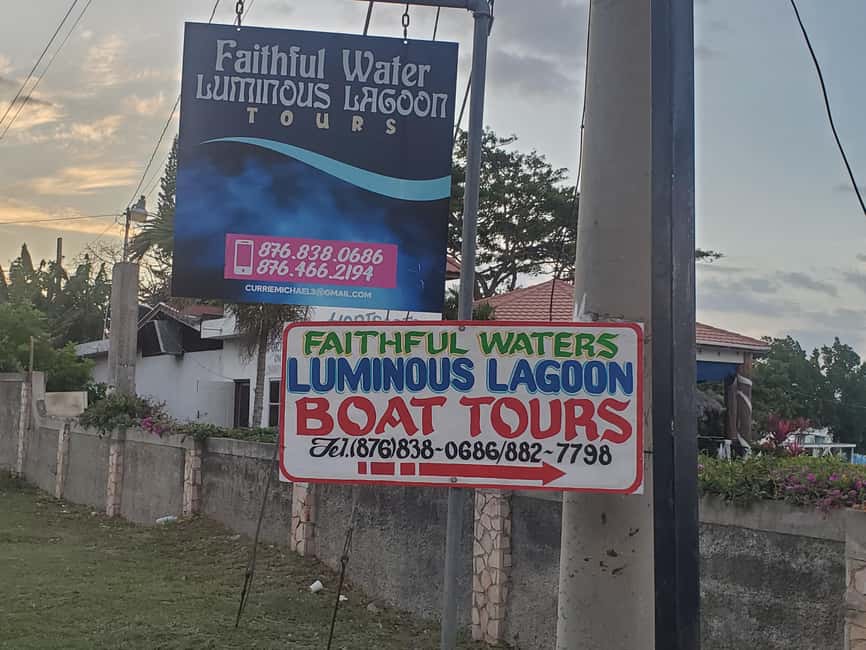 Falmouth: Luminous Lagoon Boat Tour - Small groups, private boats, and the right atmosphere
