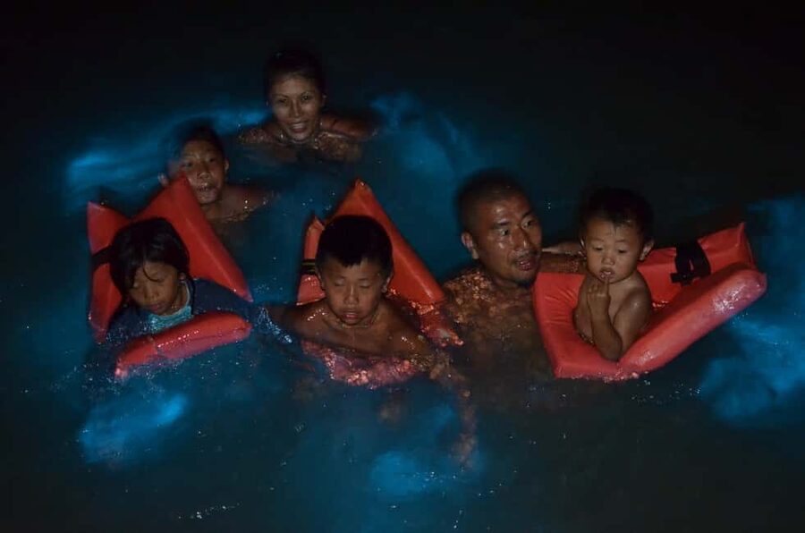Falmouth: Luminous Lagoon Boat Tour - Who will enjoy this evening outing?