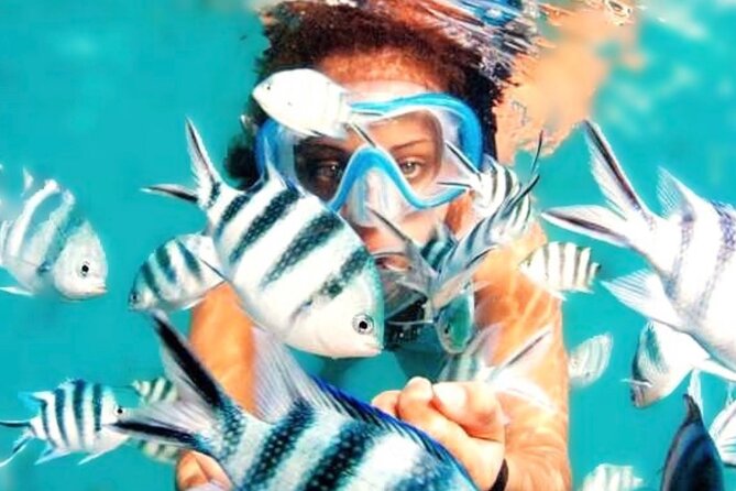 Family Fun-Snorkeling with Lunch Stop from Montego Bay - Why this Montego Bay snorkeling trip works for families