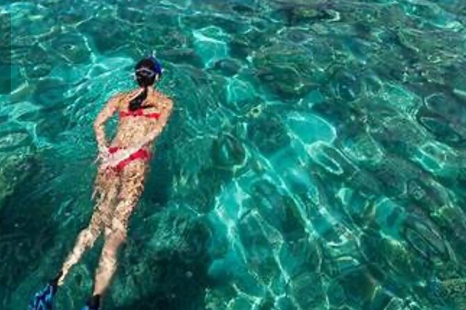 Family Fun-Snorkeling with Lunch Stop from Montego Bay - Equipment, instruction, and comfort in the water