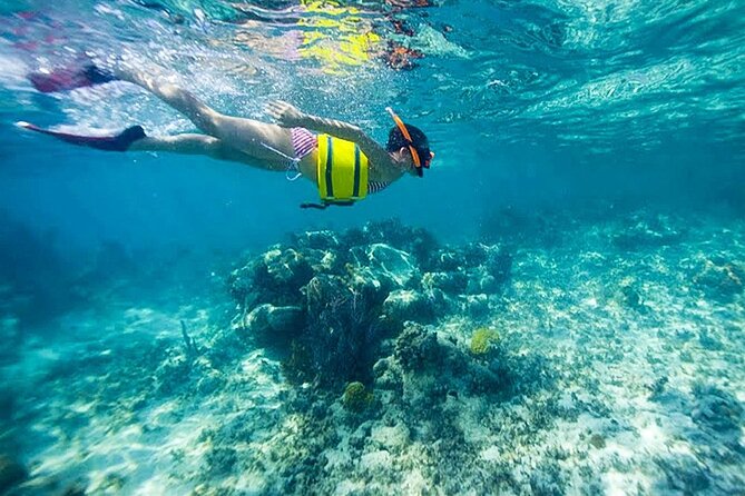 Family Fun-Snorkeling with Lunch Stop from Montego Bay - Is $110 per person a fair price?