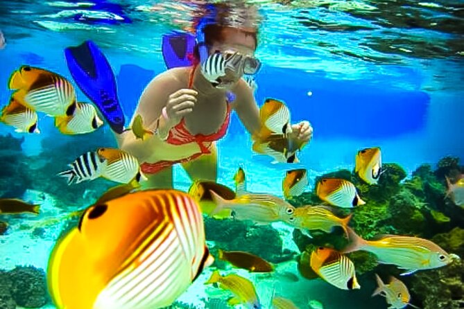 Family Fun-Snorkeling with Lunch Stop from Montego Bay - Pickup from Montego Bay and the private ride