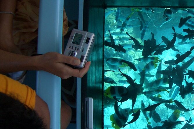 Family Fun-Speed Tubing & Glass Bottom Boat Activity, Montego Bay - Is $84 a fair price?
