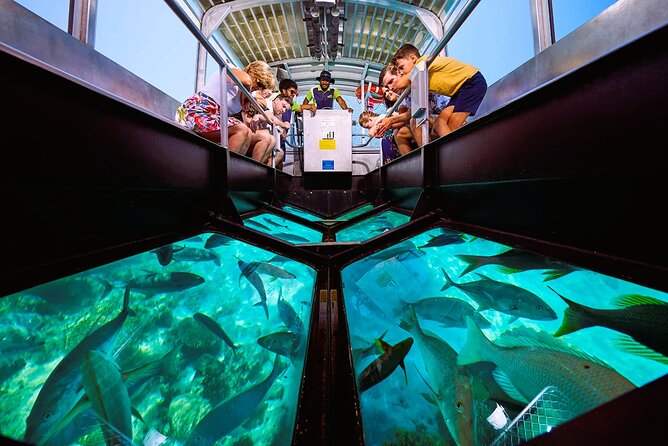 Family Fun-Speed Tubing & Glass Bottom Boat Activity, Montego Bay - Who will enjoy this activity most?