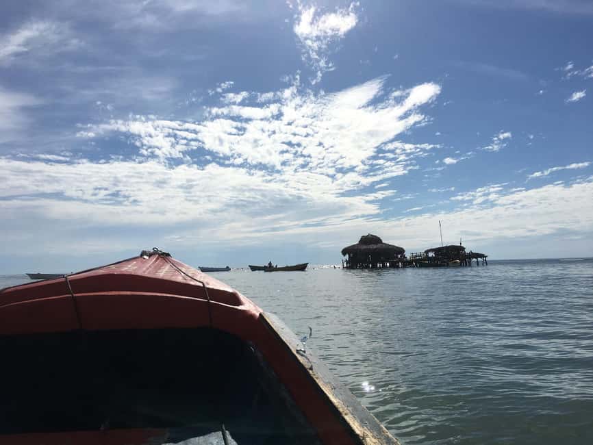 Floyd’s Pelican Bar, Ys Falls and Black River Safari Tour - Swimming beneath YS Falls