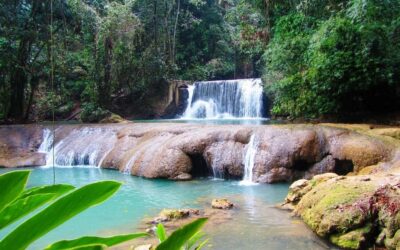 Floyd’s Pelican Bar, Ys Falls and Black River Safari Tour