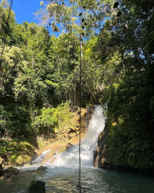 Floyd’s Pelican Bar, Ys Falls and Black River Safari Tour - Cruising the Black River by pontoon