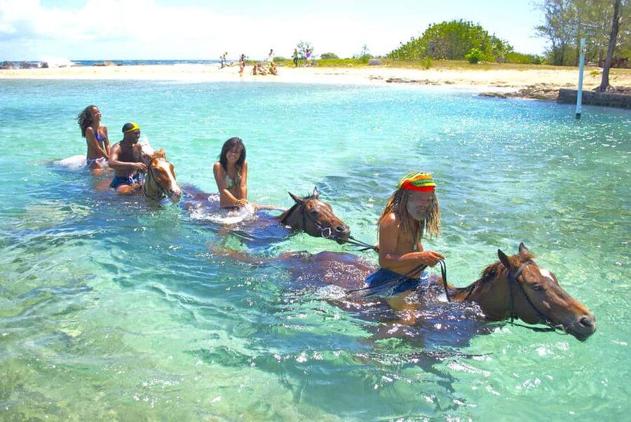 From Falmouth: Horseback Ride and Swim Beach Trip - Key points at a glance