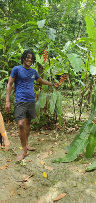 From Montego Bay: Blue Hole Waterfall Experience - The guide team and the small-group advantage