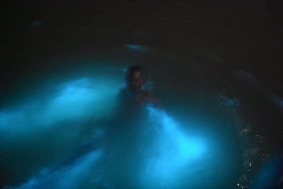 From Montego Bay: Luminous Lagoon Night Tour - Who will enjoy this night tour?