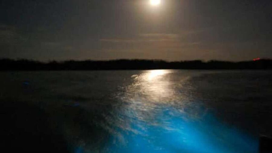 From Montego Bay: Luminous Lagoon Nighttime Boat Tour - Boarding the boat at Glistening Waters