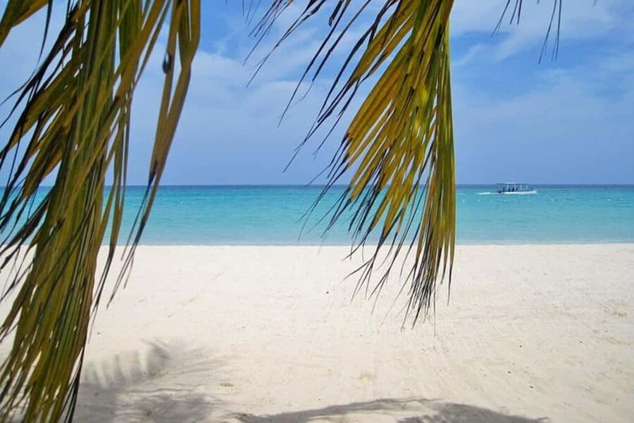 From Montego Bay: Negril Beach and Rick's Café Day Trip - Seven Mile Beach: sand, water, and free time