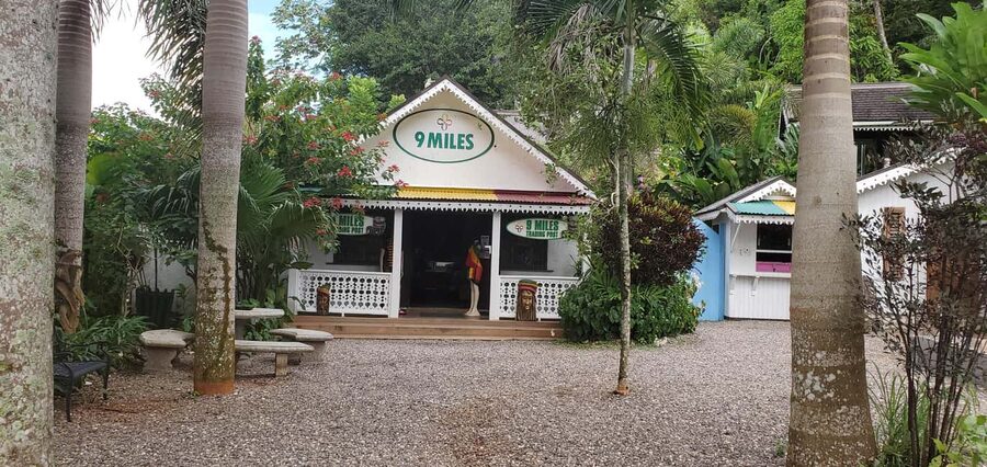 From Montego Bay: The Bob Marley Guided Tour of Nine Mile - The guides can shape the whole day