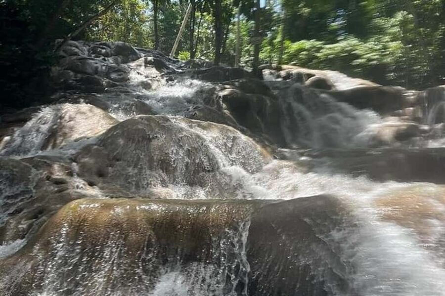 From Ocho Rios: Blue Hole, Dunn's River & Tubing Tour - Who will get the most from this tour