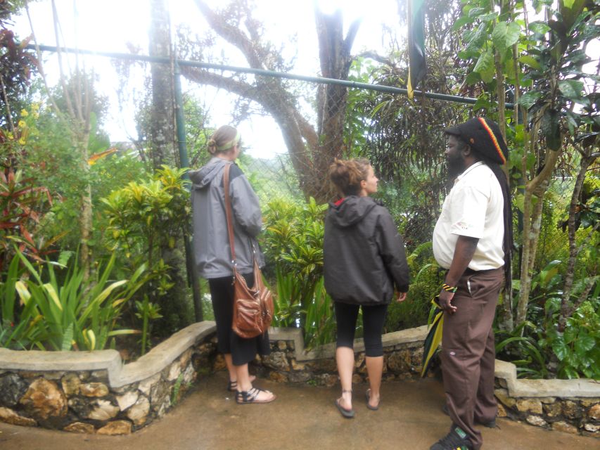 From Ocho Rios: Bob Marley & Dunn’s River Falls 6/7Hour Tour - What the private vehicle adds
