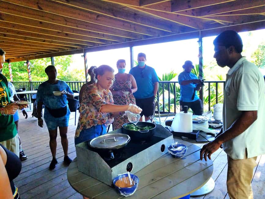 From Ocho Rios: Flavors of Jamaica Guided Food Tour - Exploring 1,000 acres by open-air carriage