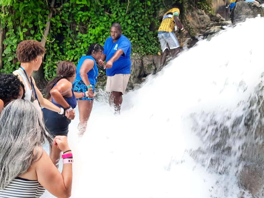 From Ocho Rios / Runaway Bay: Day Trip to Dunn's River Falls - Who should choose this outing