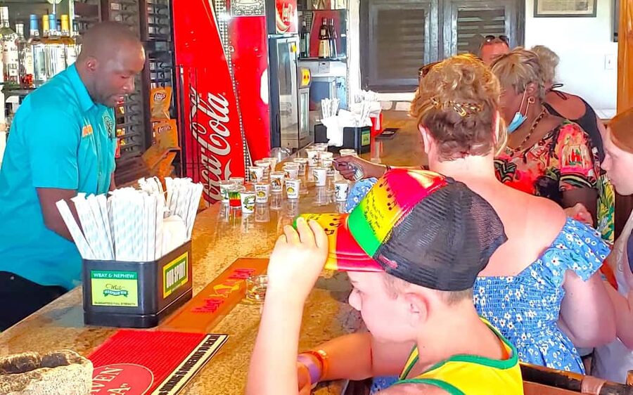 From Runaway Bay: Bob Marley Mausoleum Guided Day Trip - Why Nine Mile matters to Bob Marley fans