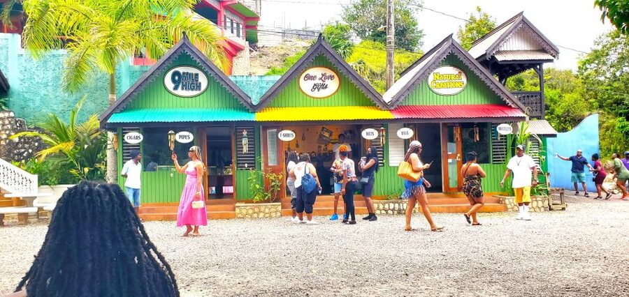 From Runaway Bay: Bob Marley Mausoleum Guided Day Trip - Who will enjoy this five-hour outing?