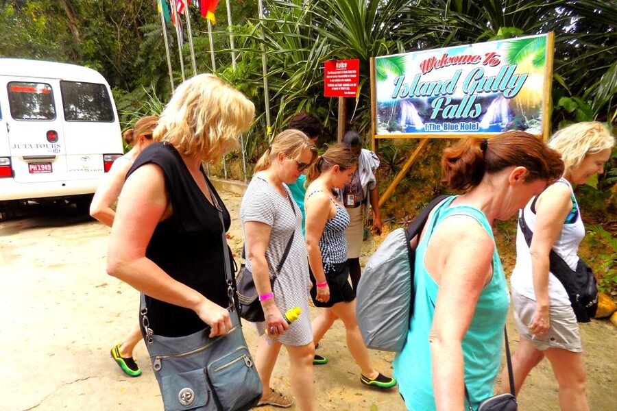 From Runaway Bay: Island Gully Falls and Blue Hole Tour - The Jamaican jerk stop on the way back
