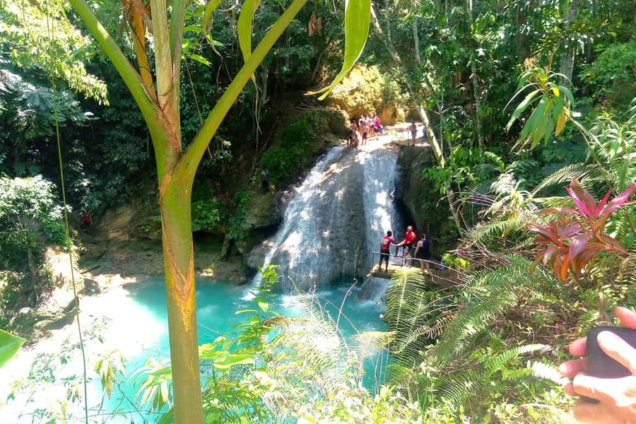 From Runaway Bay: Island Gully Falls and Blue Hole Tour - How the $180 price measures up