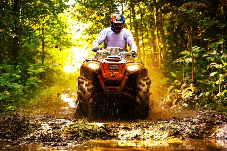 From Runaway Bay: Off Road Vehicle Adventure Tour - The bird aviary adds a welcome pause