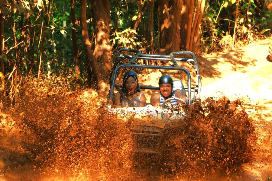 From Runaway Bay: Off Road Vehicle Adventure Tour - Trees planted by famous names