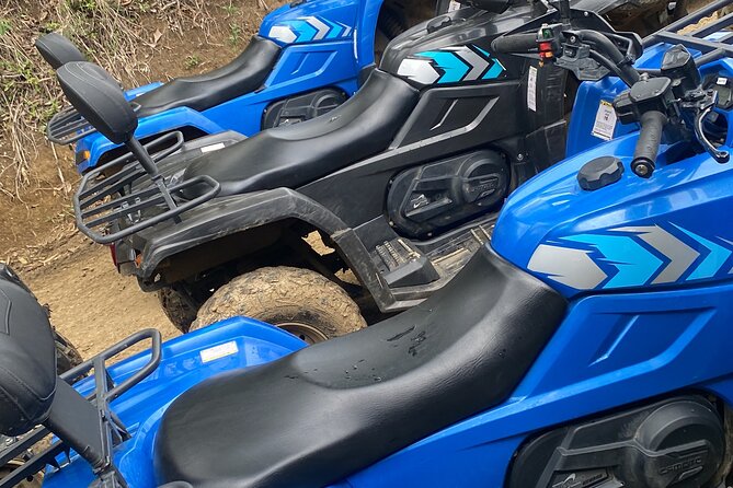 Full Day ATV Bush Trail and Water Sports Tour with Rick's Cafe - Who will enjoy this Jamaican combination tour?