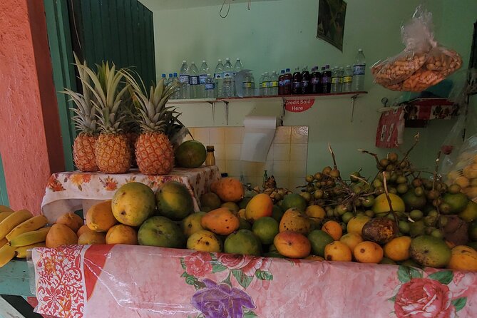 Full-Day Guided Tour to Dunns River Falls & shopping with lunch - The important warning about route changes