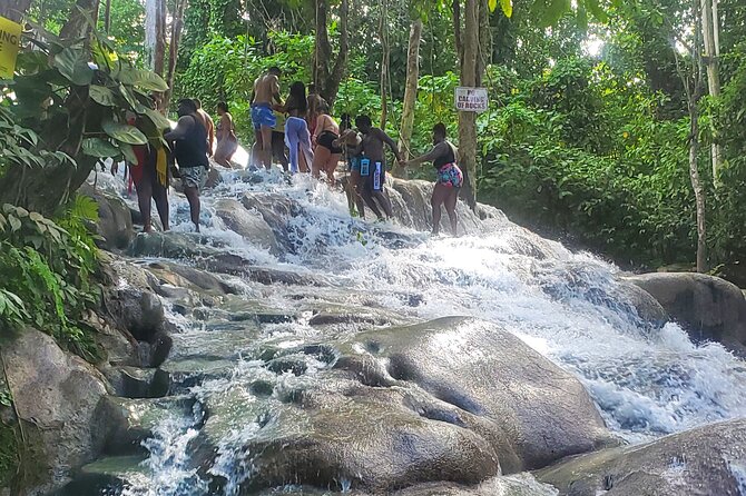Full-Day Guided Tour to Dunns River Falls & shopping with lunch - Who will enjoy this day most