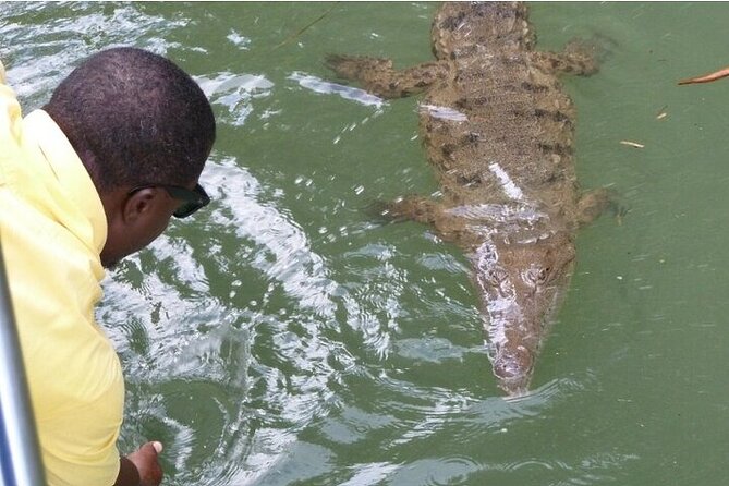 Full-Day South Coast - YS Falls, Pelican Bar & Black River Safari - The journey from Negril to Jamaica’s South Coast