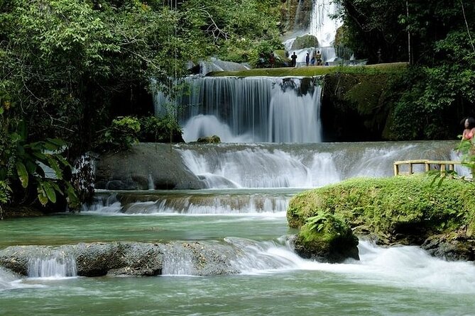 Full-Day South Coast - YS Falls, Pelican Bar & Black River Safari - Timing, fitness, and what to bring