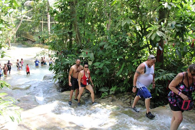 Full-Day Tour of Blue Hole and Dunn's River Falls, Including Fees - The best fit for active families and small groups