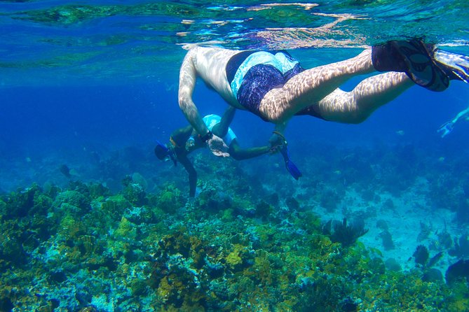 Glass Bottom Boat Ride/Snorkeling/Booby Cay Island from Grand Palladium Lucea - What the $95 price really covers