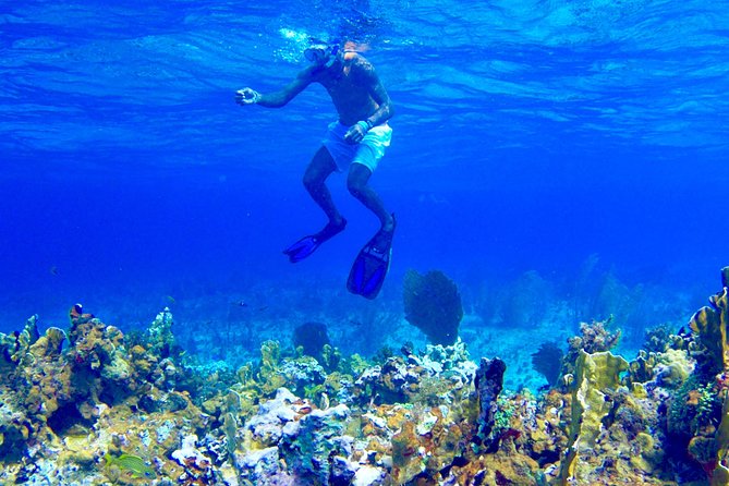 Glass Bottom Boat Ride/Snorkeling/Booby Cay Island from Negril - A simple morning on Negril’s water