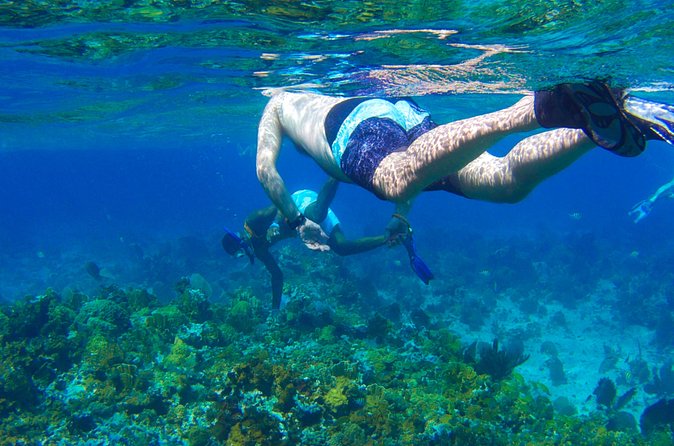 Glass Bottom Boat Ride/Snorkeling/Booby Cay Island from Negril - Booby Cay Island, a small beach with local cooking