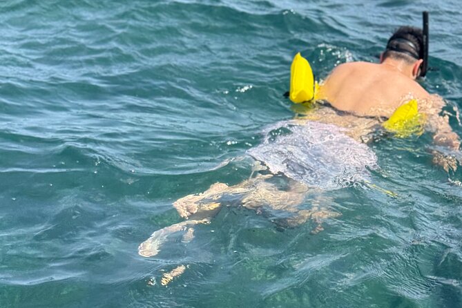 Glass bottom Boat Tour and Snorkeling Experience in Montego Bay - What the Montego Bay boat trip is really like