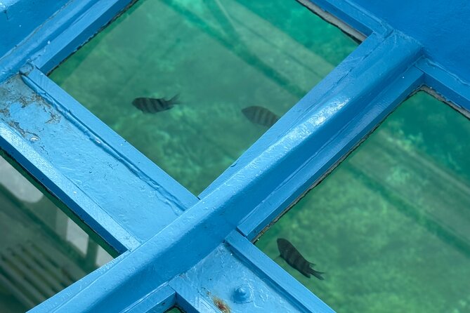 Glass bottom Boat Tour and Snorkeling Experience in Montego Bay - Looking through the glass-bottom boat
