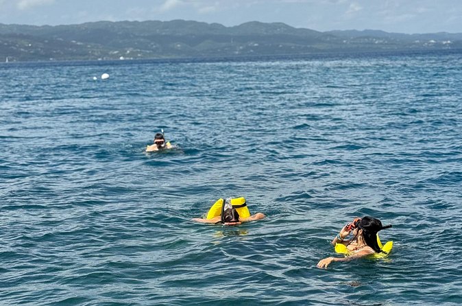 Glass bottom Boat Tour and Snorkeling Experience in Montego Bay - Is $110 a fair price?